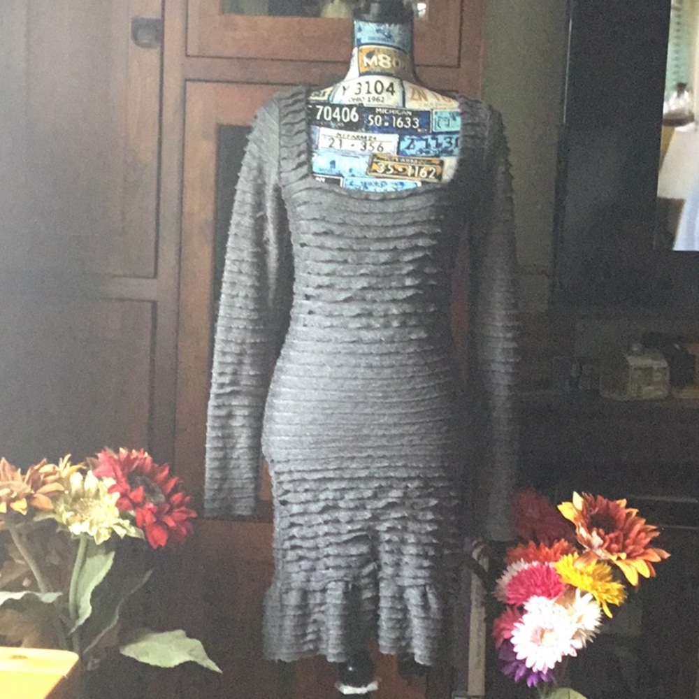 Studio M lined long sleeve dress. Gray color